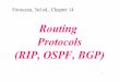 Routing Protocols (RIP, OSPF, BGP) - Georgia …blough.ece.gatech.edu/4110/RoutingProtocols.pdf8 IP addressing is like Russian “Matryoshka” the nesting dolls. Advertising a prefix