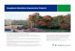 Vaughan Mainline Expansion Project - TransCanada · Environmental Protection As part of our regulatory application, TransCanada collected and analyzed site-specific environmental