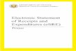 Electronic Statement of Receipts and Expenditures … · Statement of Receipts and Expenditures ... implementation of policies on local government revenue ... Electronic Statement