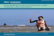 Rebuilding tropical fisheries with coastal communities · Empowering women Octopus fishing is particularly important for women in Madagascar, who are able to glean on reef flats by