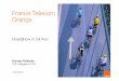 France Telecom Orange · 2 Agenda introduction to France-Telecom Orange, one of the global leaders in Telecoms latest results and main financials 2 3 1 a clear strategic and industrial