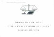 MARION COUNTY COURT OF COMMON PLEAS … Rules/marionCoGD.pdfMARION COUNTY COURT OF COMMON PLEAS LOCAL RULES INDEX SCOPE RULE I .. . TERM OF COURT RULE II ... MEMBERS OF THE BAR RULE