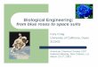 Biological Engineering: from blue roses to space suitsacscinf.org/docs/meetings/225nm/presentations/225nm08.pdfBiological Engineering: from blue roses to space suits Cory Craig University