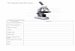 The Compound Light Microscope - allenscience [licensed …allenscience.pbworks.com/w/file/fetch/79076309/Student... ·  · 2018-01-29The Compound Light Microscope Complete the table