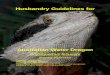 Husbandry Guidelines for - Australian Museum€¦ ·  · 2012-07-29Husbandry Guidelines for Australian Water Dragon ... offered to the ASZK Husbandry Manuals Register for the benefit