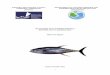 WESTERN AND CENTRAL PACIFIC DEPARTMENT OF …Consultancy-report... · Structure of tuna fleet in Binh Dinh from 2010 to 2012 ... The organizational chart for fisheries management