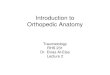 Introduction to Orthopedic Anatomy - KSU Facultyfac.ksu.edu.sa/sites/default/files/Trauma_lecture_2.pdf · Characteristics of Synovial Joints • Articular end plate = a thin layer