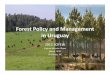 Forest Policy and Management in Uruguaysofew.cfr.msstate.edu/2012/SOFEW2012_Olmos.pdfCOFUSA COFUSA COFUSA nc Uruguay Fymnsa Fymnsa Fymnsa ‐ Uruguay nc Caja de ... Caja Notarial Caja
