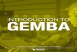 INTRODUCTION TO GEMBA - qi.elft.nhs.uk · Introduction to Gemba creativesafetysupply.com 5 The Gemba Walk The Objective of a Gemba Walk In businesses, managers often look to company