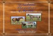 web file - 2010 dakota breeders · Sire 5-State Breeders Barrel Futurity Champion ... 2000 #3923827 Buckskin Stallion ... Divi Zippo Doc Bar Leading AQHA/NCHA Sire