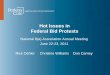 Hot Issues in Federal Bid Protests - Perkins Coie · Hot Issues in Federal Bid Protests ... TIGHT GAO PROTEST TIMELINES ... Can be most effective on pre-award issues (overly