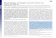 Morphologies of synaptic protein membrane fusion interfaces · Morphologies of synaptic protein membrane fusion interfaces Preeti Gipsona,b,c,d,e, Yoshiyuki Fukudaf, Radostin Danevf,