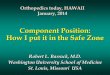 Component Position: How I put it in the Safe Zone - Radlink€¦ · Component Position: How I put it in the Safe Zone ... (Recovery room) x-ray has ... processing dark room and film