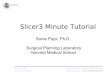 Slicer3 Minute Tutorial · Sonia Pujol, Ph.D. Slicer3Minute Tutorial The Slicer3 Software • An end-user application for image analysis • An open-source environment for software