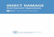 INSECT DAMAGE - Food and Agriculture Organization · INSECT DAMAGE: Damage on Post-harvest Organisation: International Centre of Insect Physiology and Ecology (ICIPE) ... decomposers