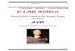 Tutorial - Editor - Tools Manual E-LAB AVRco · Tutorial - Editor - Tools Manual E-LAB AVRco Pascal Multi-Tasking for Single Chips Version for AVR ... info@e-lab.de Important information