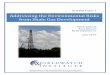 Addressing the Environmental Risks from Shale Gas Development Fracturing Paper.pdf · 1 Addressing the Environmental Risks from Shale Gas Development Mark Zobacka, Saya Kitaseib,