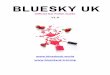 Official Gel Polish Guide V1 - Bluesky UK World UK Gel... · Official Gel Polish Guide V1.0