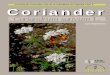 Coriander, Coriandrum sativum L. - … · Denmark, Ecuador, Egypt, Greece, ... the CGIAR or IPK concerning the legal status of any country, ... Coriander (Coriandrum sativum L.)