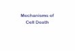 Mechanisms of cell death - The University of North ... of... · Etiology of cell death ... Necrosis Apoptosis Necrosis: The sum of ... programmed deaths also lie in the neuronal lineage