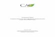 Assessment Report Complaint filed to the CAO regarding …€¦ · Assessment Report Complaint filed to the CAO regarding the Zambia Konkola Copper Mine (KCM) Project November 2003