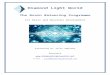 Diamond Light World€¦ · Web viewIt is a process that involves meditation and focus for 15 minutes a day with profound results. Learn to raise your consciousness and fully live