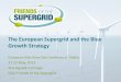 The European Supergrid and the Blue Growth Strategy · The European Supergrid and the Blue Growth Strategy ... Malta 21-22 May, 2013 Ana Aguado Cornago CEO, ... R&D, Education, Training