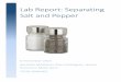 Lab Report: Separating Salt and Pepper - Weebly · Lab Report: Separating Salt and Pepper 6 November 2014 Michelle McAllister, Kiara Rodriguez, Jessica Simmons, Molly Gunn TECM 3000.001