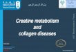 Creatine metabolism and m collagen diseases - …ksumsc.com/download_center/1st/2.Musculoskeletal Block/Teamwork...Pi Plasma Glomerular ... protein that serves structural functions