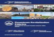 DOWNTOWN REVITALIZATION INITIATIVE - New York · Page 1 of 9 DOWNTOWN REVITALIZATION INITIATIVE Staten Island Borough President’s Office Office Contacts: Lashay Young - lyoung@statenislandusa.com