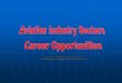 Aviation Industry Sectors Career Opportunities · many areas of aviation where there are career opportunities. ... US Airways. REGIONALS Transport ... presentation slides)