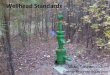 Wellhead Standards - ncdenr.s3.amazonaws.com Mineral and Lan… · Wellhead Equipment and Operations •(Arkansas) Wellhead equipment shall be installed and maintained so that static