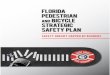 FLORIDA PEDESTRIAN AND BICYCLE STRATEGIC … · Florida Pedestrian and Bicycle Strategic Safety Plan Prepared by The Center for Urban Transportation Research University of South Florida