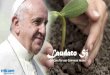 Laudato Si Trocaire Presentation · Questions for reflection: 1. In chapter 5 Pope Francis gives many practical solutions to combatting the worlds ecological problems ... St Francis