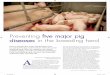 Preventing Five Major Pig Diseases in the Breeding Herd · Preventing five major pig ... If it brings disease on to the farm, ... Preventing Five Major Pig Diseases in the Breeding