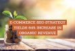 CASE STUDY E-COMMERCE SEO STRATEGY … SEO STRATEGY YIELDS 64% INCREASE IN ORGANIC REVENUE ©2017 Seer Interactive • p2 OVERVIEW • CLIENT: International recreation brand