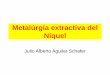 Metalúrgia extractiva del Níquelbiblio3.url.edu.gt/Libros/2013/cmII/7.pdf · hidrometalurgia extractiva de menas oxidas