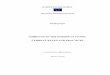 LOBBYING IN THE EUROPEAN UNION: CURRENT RULES AND PRACTICES · Lobbying in the European Union: current rules and practices ... for and introduction of GSM ... in the European Union: