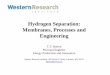 Hydrogen Separation: Membranes, Processes and Engineering · Hydrogen Separation: Membranes, Processes and Engineering . ... the US is for petroleum refining and chemical production