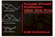 Legal Notices and Disclaimer: Trade Chart Patterns Like ... Chart... · Broadening Pattern (Megaphone), 127 ... 10.2. Head and Shoulders Pattern, 169 ... Suri's 'trader-sense' perspective
