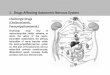 1. Drugs Affecting Autonomic Nervous System - BS …bspublications.net/downloads/055f13a7d83b70_pharmacology with... · Drugs Affecting Autonomic Nervous System ... 2 Pharmacology