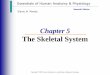The Skeletal System - Amazon Simple Storage Service Skeletal System ... Axial skeleton Appendicular skeleton â€“limbs and girdle. Functions of Bones ... Movement due to attached