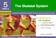 The Skeletal System - pshs.  of the skeletal system Bones (skeleton) Joints Cartilages Ligaments Divided into two divisions Axial skeleton ... Movement due to attached