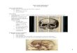  · Web viewThe Axial Skeleton Dr. Gary Mumaugh The Axial Skeleton Eighty bones segregated into three regions Skull Vertebral column Bony thorax The Skull The skull, the body’s