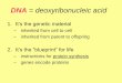 DNA = deoxyribonucleic acid - MCCCblinderl/documents/DNA-BIOTECH.pdfDNA fingerprint = Different people ... able to digest more and produce less manure ... –organ a perfect match