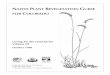 Revegetation - Colorado Parks and  · PDF filerocky mountain region.....33 grasslands ... wetland revegetation techniques