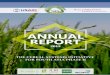 Annual Report #3pdf.usaid.gov/pdf_docs/PA00M9SC.pdf ·  · 2016-09-22IRRI International Rice Research Institute IWM Integrated weed management ... SSNM Site-specific nutrient management
