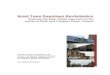 Small Town Downtown Revitalization - Queen's University · School of Urban and Regional Planning inconformity with the requirements for the degree of Master of Planning Small Town