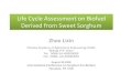 Life Cycle Assessment on Biofuel Derived from Sweet Sorghum€¦ ·  · 2008-09-02Cycle Assessment on Biofuel Derived from Sweet Sorghum Assessment ... ethanol production chain Database