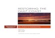 Restoring the Gulf Coast - Restore the Mississippi River Delta ·  · 2017-02-01industry that includes hunting, ... Having long worked in the traditional oil and gas industry, 